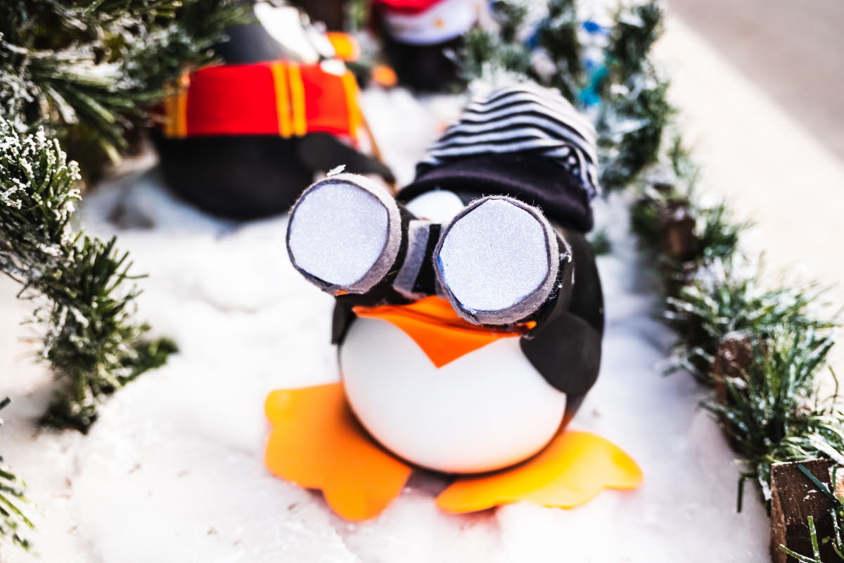 Funny penguin dolls with a camera, Christmas decorations.